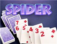Spider Spider